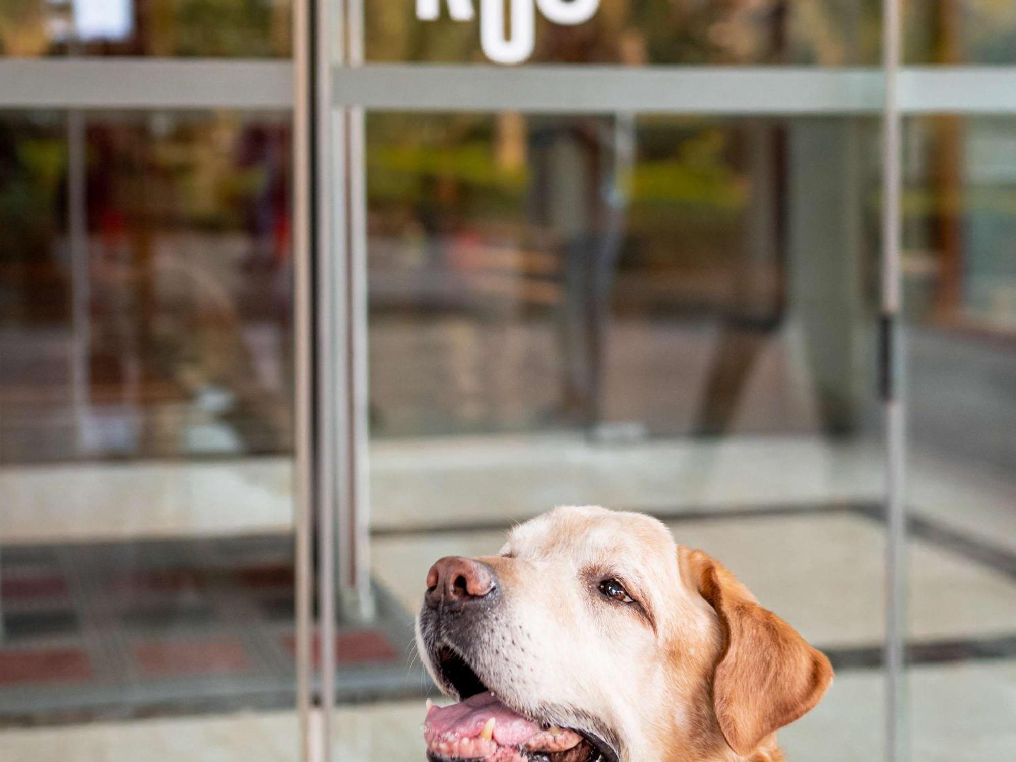 Ibis Madrid Calle Alcala Dış mekan fotoğraf